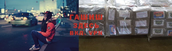 прущие грибы Абинск