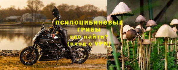 каннабис Алзамай