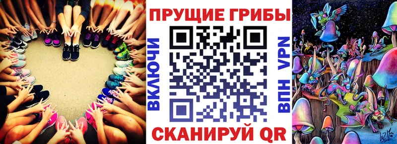 hydra зеркало  купить наркоту  Белгород  Псилоцибиновые грибы прущие грибы 
